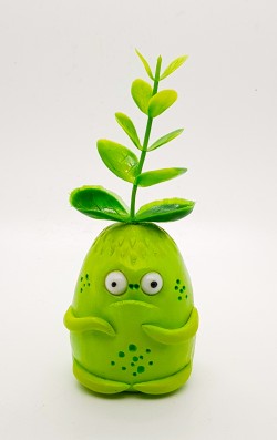 Mandragora