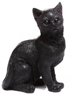 Счастливый черный котик